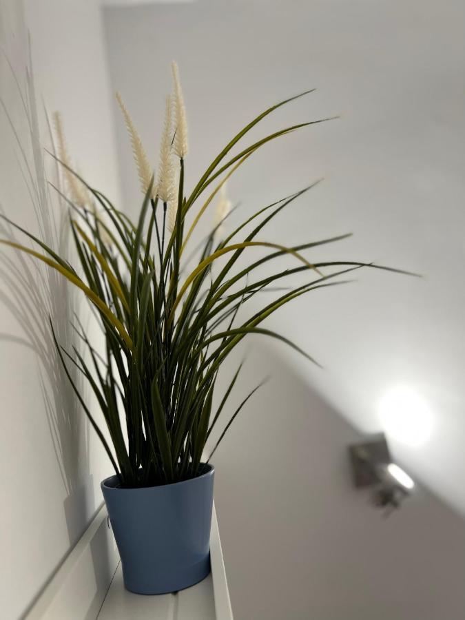 Adele Apartment Costa Adeje 외부 사진